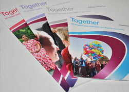 brochure adn annual report design