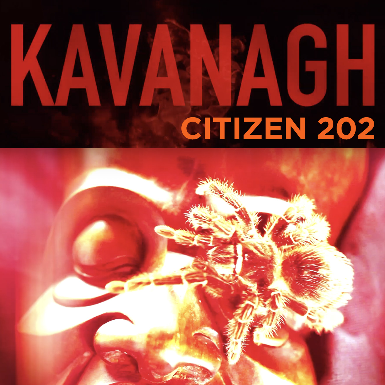 kavanagh-indie-rock-cover rock band video design